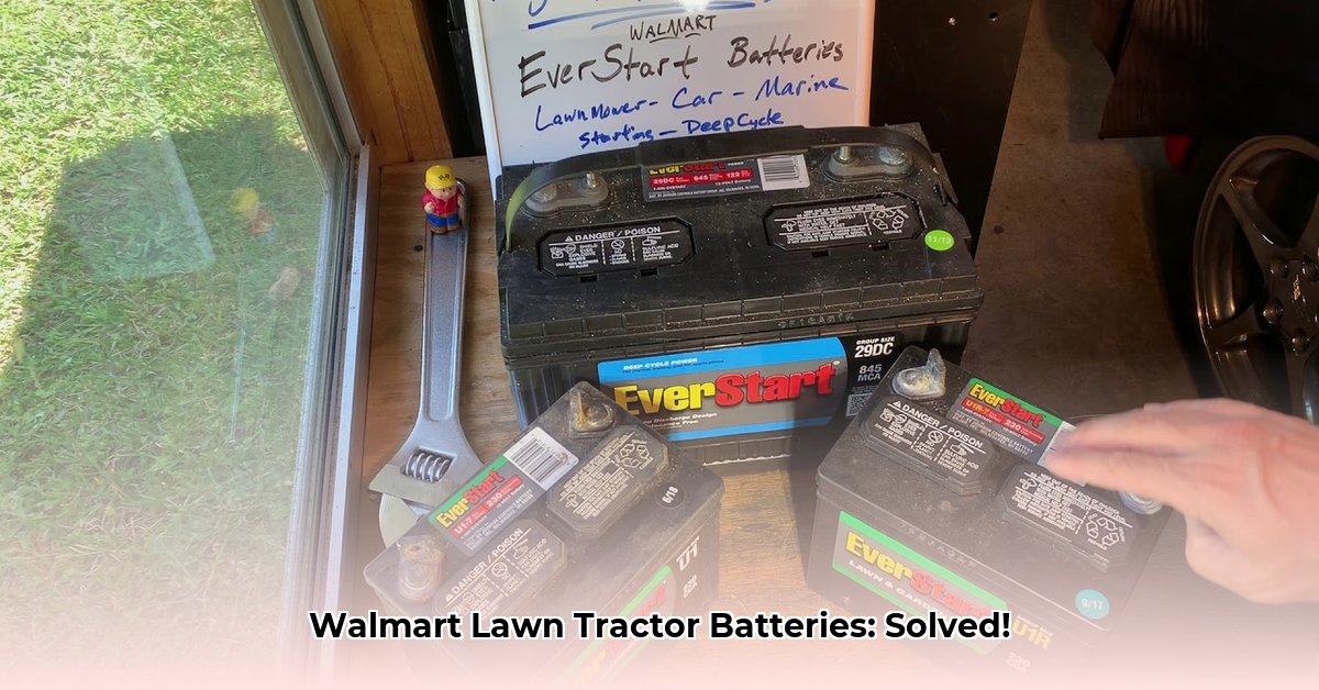 lawn-tractor-battery-at-walmart